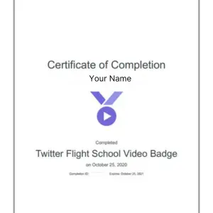 Advanced Digital Marketing Course In Faridabad 9 Twitter Flight School Video Badge