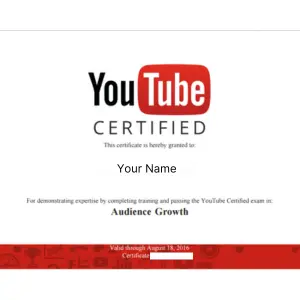 Advanced Digital Marketing Course In Faridabad 8 YouTube Certificate